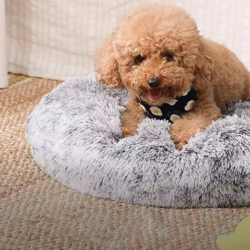 inandoutdoormatch Fluffy dog ​​cushion - Dog basket - Bench cushion - Sofa - 60x60x20cm (13628)