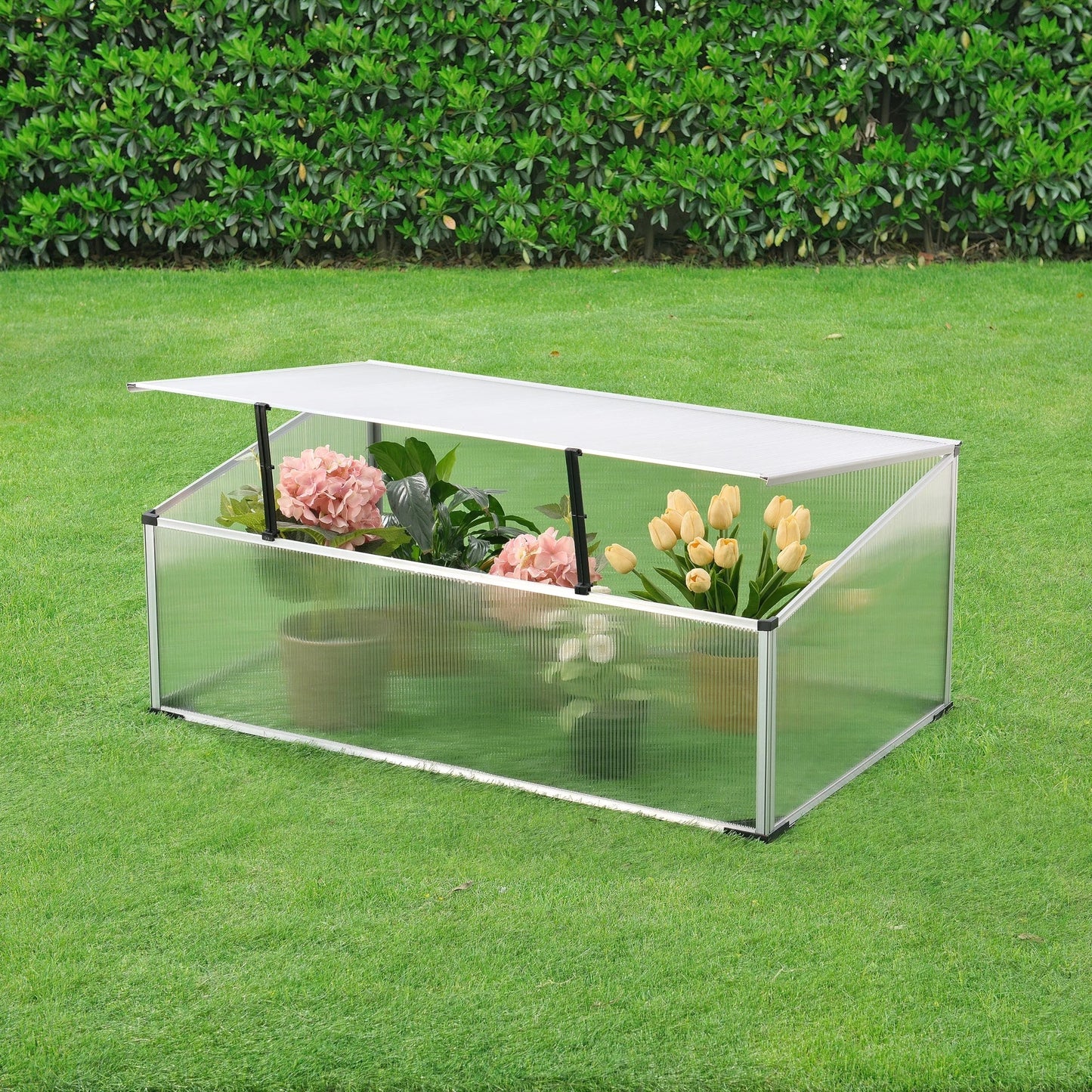 In And OutdoorMatch Greenhouse Rubson - Mini Greenhouse - 100x60x30-40 cm - Aluminium Polycarbonaat - Kunststof - Weerbestendig Materiaal Garden Storage box