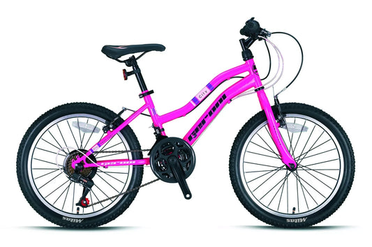 In And OutdoorMatch Kinderfiets met 21 Harley - 20 inch - Dames/meisje - Racefiets - framemaat 28cm - Roze boy bike 16 inch